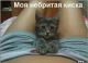 Милаха