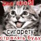 Без описания