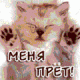 Без описания