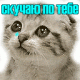 Без описания