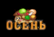Без описания