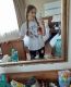 предыдушее фото