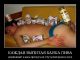 Без описания