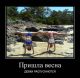 Без описания