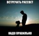 Без описания