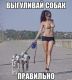 Без описания