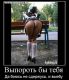 Без описания