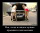Без описания