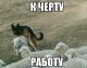 Без описания