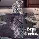 Без описания
