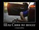 Без описания