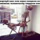 следующее фото