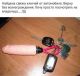 Без описания