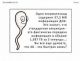 Без описания