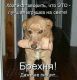 Без описания
