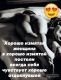 Без описания
