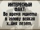 Без описания