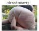 Без описания