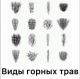 Без описания