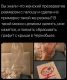 Без описания