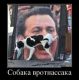 Без описания
