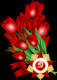 Без описания