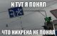 следующее фото