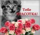 Без описания