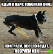 Без описания