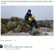 Без описания
