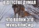 предыдушее фото