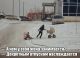 Без описания