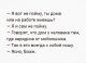 Без описания