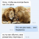 Без описания
