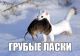 1475411721_1878.jpg