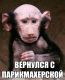 Без описания