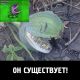 Без описания