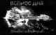 Без описания