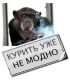 ащшщзкщз