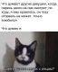 Без описания