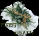 предыдушее фото