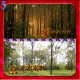 Без описания