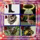 предыдушее фото