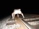 Без описания
