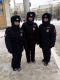 Без описания