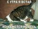 Без описания