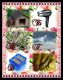 предыдушее фото