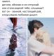 Без описания