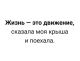 Без описания