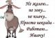 Без описания
